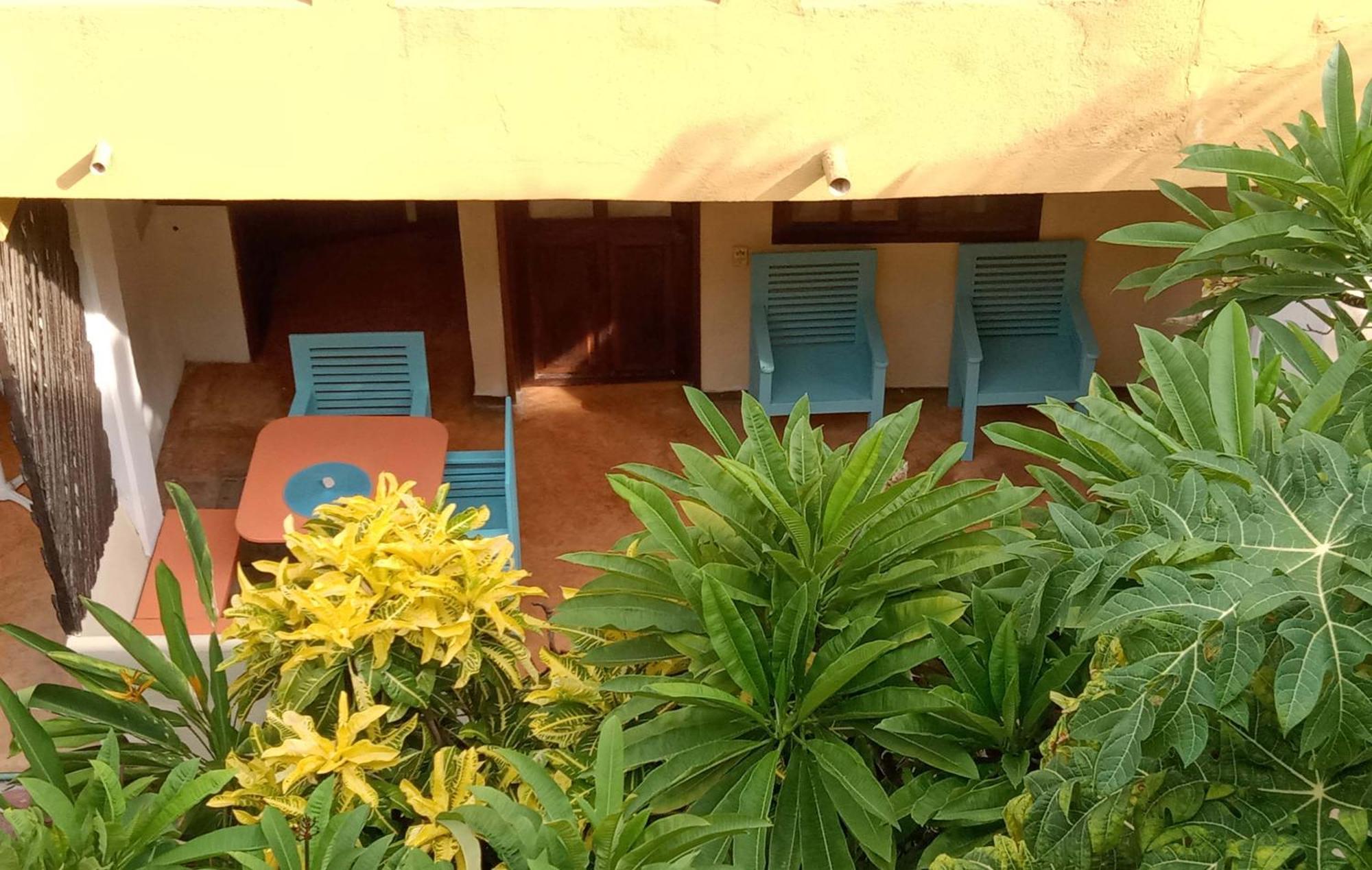 Hotel Papaya Surf 푸에르토 에스콘디도 외부 사진