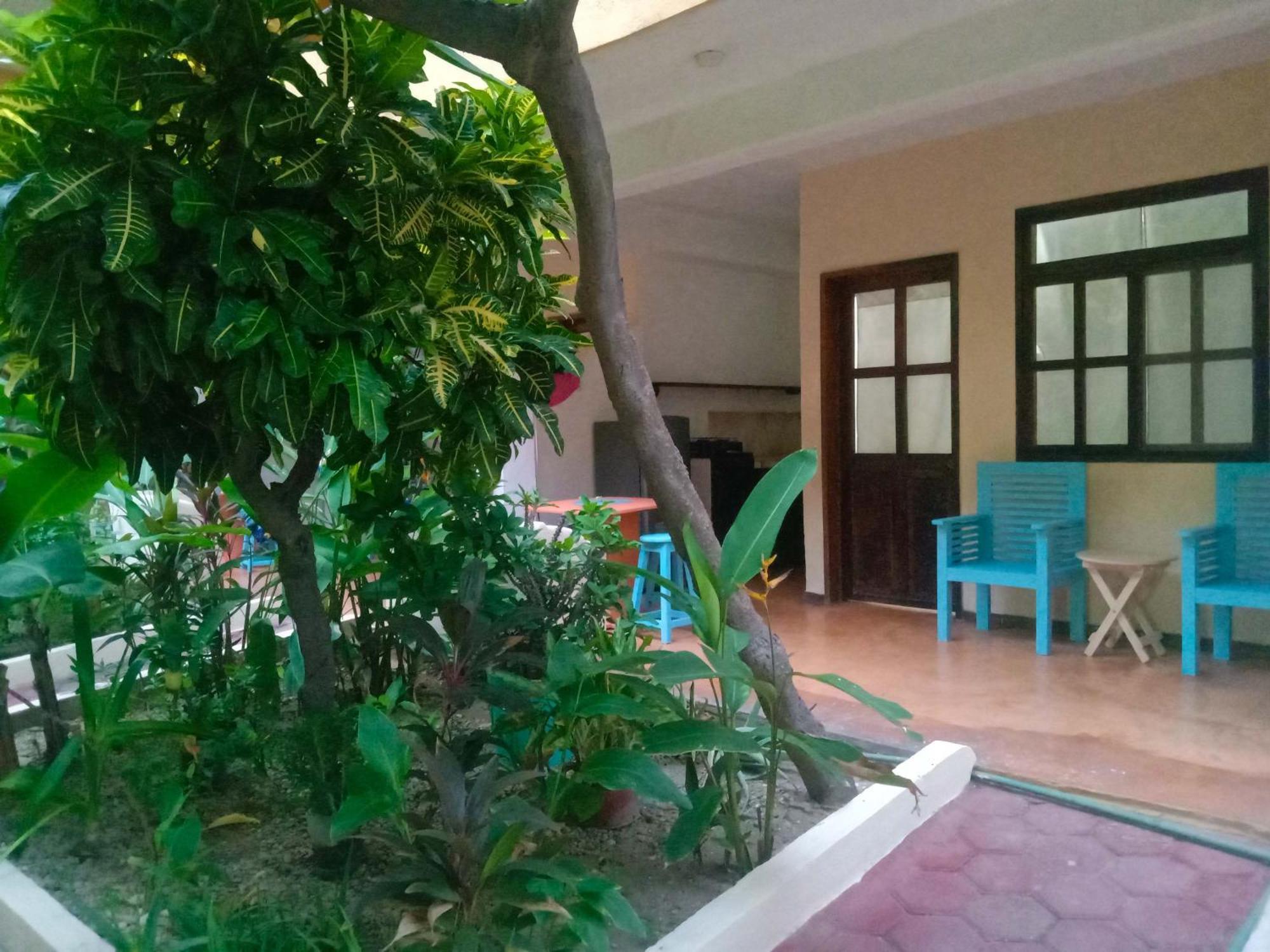 Hotel Papaya Surf 푸에르토 에스콘디도 외부 사진